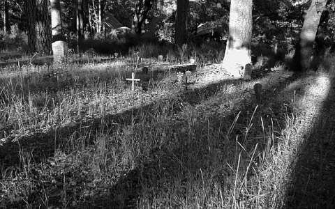 pioneeer cemetery