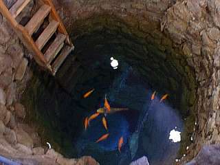 [fish in a mineshaft]